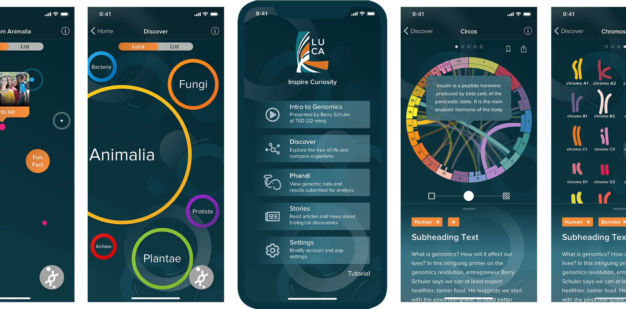 LUCA's home screen showing the app's different features