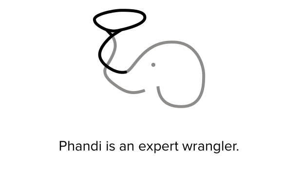 Phandi app logo